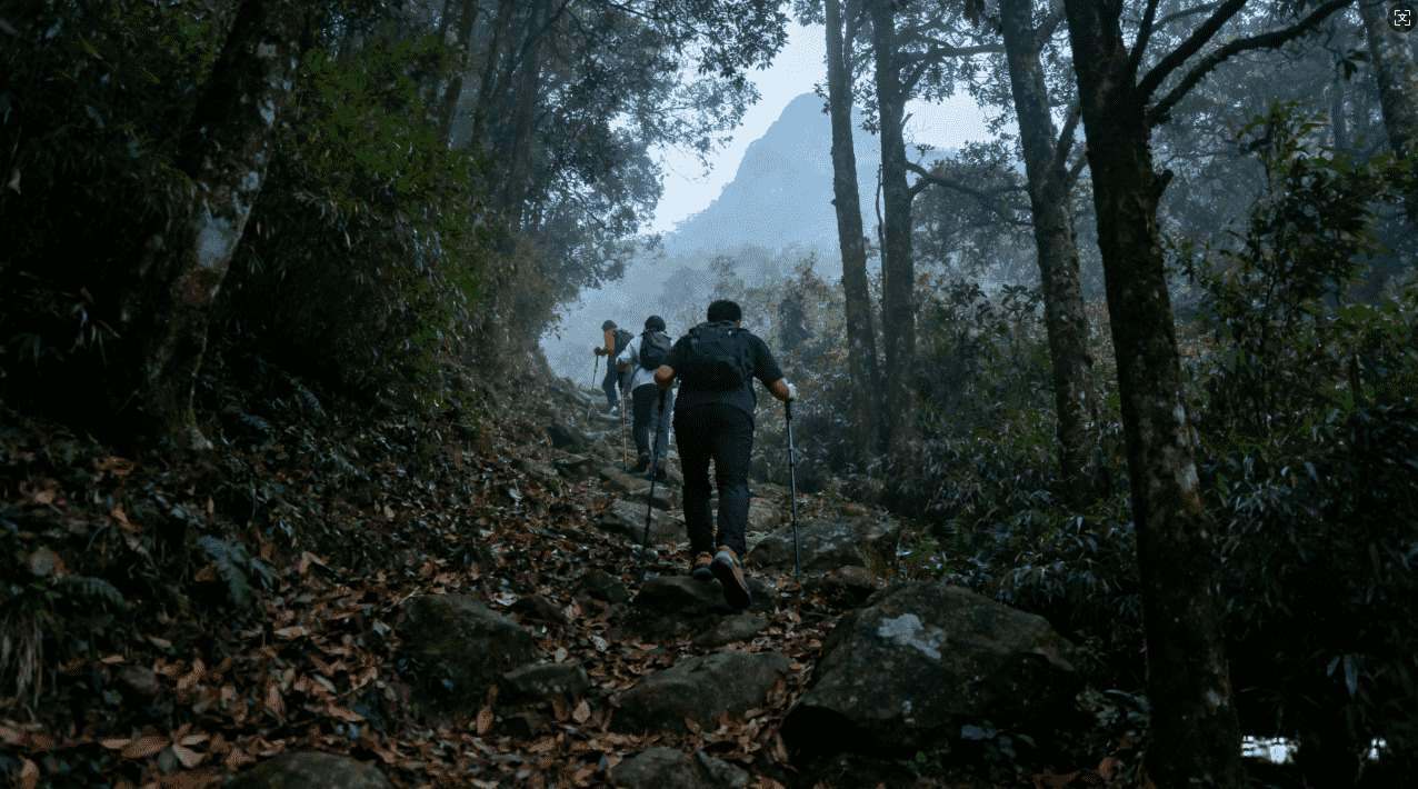 可靠飞机免费加速器助你轻松高速下载游戏无忧攻略